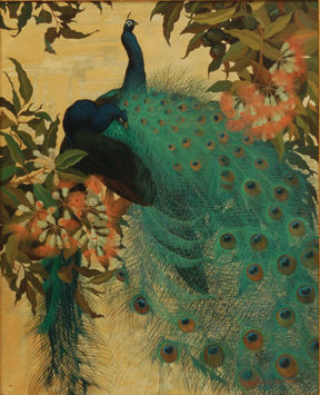 The Hudson River Museum presents  The Peacock and Beauty in Art opens October 12, 2014 through January 18, 2015