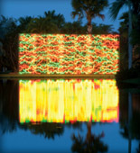 TROPICAL CHIHULY NIGHTS! at the Fairchild Tropical Botanic Garden 10901 Old Cutler Road, Miami