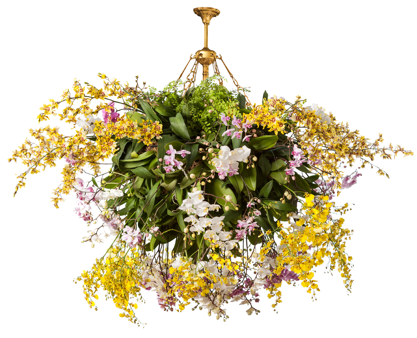 THE ORCHID SHOW: CHANDELIERS