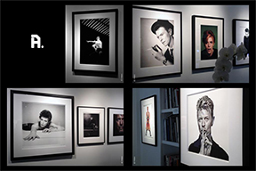 A.Galerie prolonge son exposition David Bowie  jusqu’au 10 mai 2016  The Man Who Ruled The World