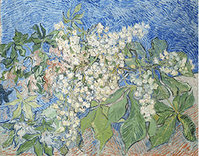 Vincent van Gogh, Blossoming Chestnut Branches, 1890. Oil on canvas, 73 x 92 cm. Foundation E. G. Bührle Collection, Zurich.